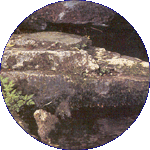 Rock Water